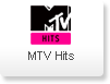 MTV-Hits